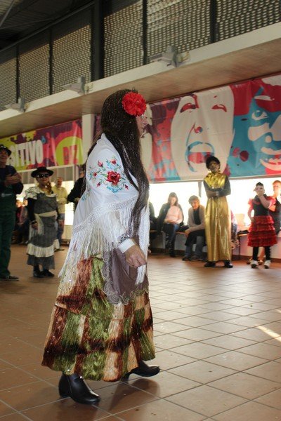 Carnaval dos Acordeonistas