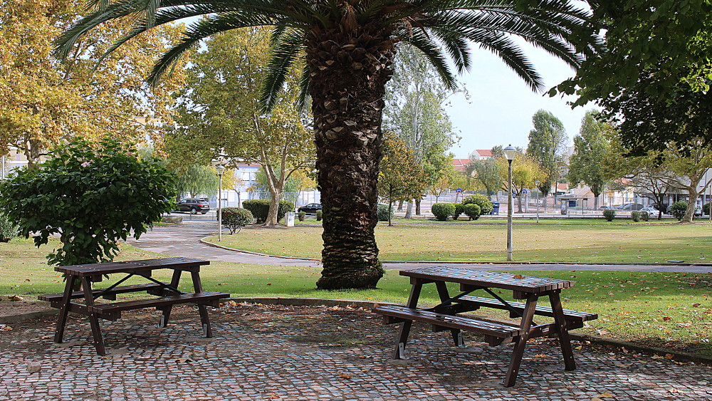 Parque da Lanchoa recebe instalação de mobiliário urbano 